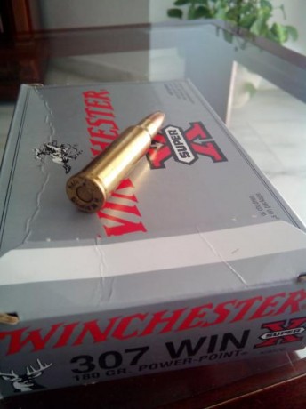 Tengo posibilidad de conseguir vainas del 307W de la marca hornady nuevas, son algo caras pero ante la 50