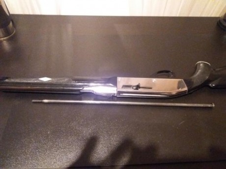 vendo carabina remington nylon 66 , es semiautimatica, muy ligera , jamás se me ha encanquillado.... 
el 91