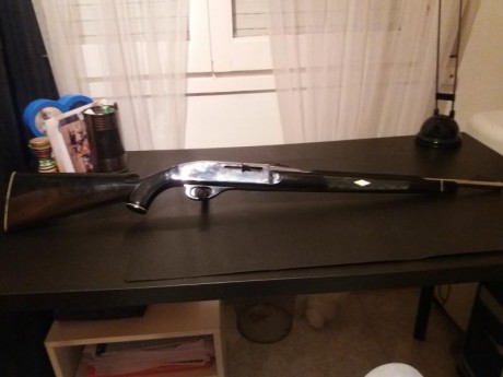 vendo carabina remington nylon 66 , es semiautimatica, muy ligera , jamás se me ha encanquillado.... 
el 90
