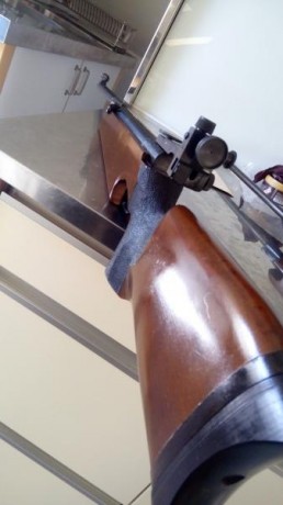 Saco a la venta un ejemplar de Tiro Olímpico weihrauch Hw55 versión Junior, en perfecto estado estético, 00