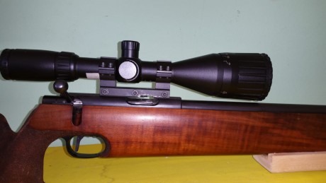 Un señor del club me pide que ponga a la venta una walter lo UIT special del 0.22 por no usar va estupenda 00