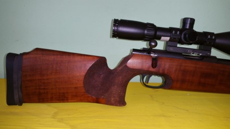 Un señor del club me pide que ponga a la venta una walter lo UIT special del 0.22 por no usar va estupenda 12