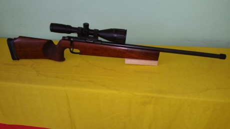 Un señor del club me pide que ponga a la venta una walter lo UIT special del 0.22 por no usar va estupenda 10