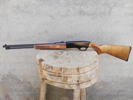 vendo carabina winchester calibre 22, muy buen estado, 200 € mas envio,
comunidad de madrid, zona sur 02