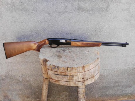 vendo carabina winchester calibre 22, muy buen estado, 200 € mas envio,
comunidad de madrid, zona sur 01