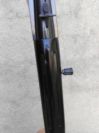 vendo carabina winchester calibre 22, muy buen estado, 200 € mas envio,
comunidad de madrid, zona sur 00