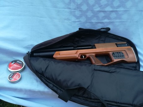 Vendo Kaliber Cricket 5.5 en muy buen estado.equipada con 3 cargadores, tornillo regulador de potencia, 62