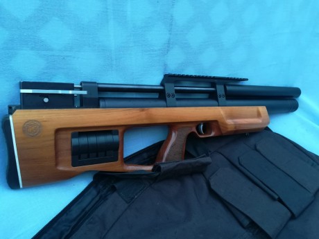 Vendo Kaliber Cricket 5.5 en muy buen estado.equipada con 3 cargadores, tornillo regulador de potencia, 60