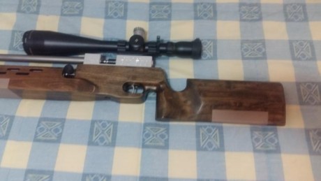 Pocas cosas nuevas se pueden decir de esta magnífica carabina de a.c. (ver Spairgun o Rapidairweapons). 01