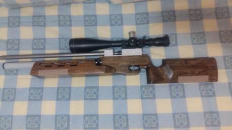 Pocas cosas nuevas se pueden decir de esta magnífica carabina de a.c. (ver Spairgun o Rapidairweapons). 12