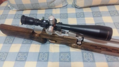 Pocas cosas nuevas se pueden decir de esta magnífica carabina de a.c. (ver Spairgun o Rapidairweapons). 11
