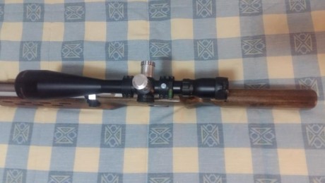 Pocas cosas nuevas se pueden decir de esta magnífica carabina de a.c. (ver Spairgun o Rapidairweapons). 30