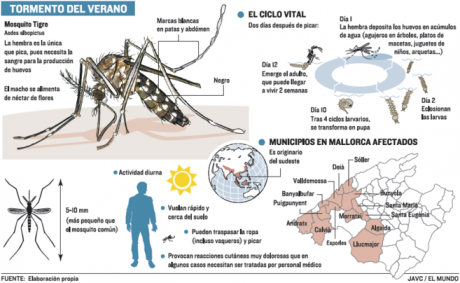 https://www.youtube.com/watch?v=MbXSPacvuak





El video se titula,  Mosquito encuentra un vaso sanguíneo. 10