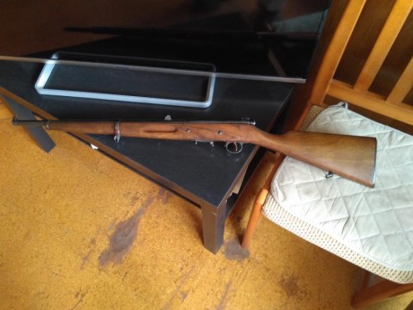 Hace poco adquiri una carabina del 9 largo, en la guia de pertenencia pone Marca FS y en el arma los unicos 01