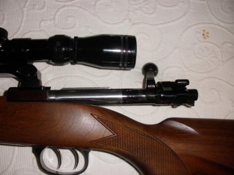 Vendo rifle Kettner calibre 30.06, gatillo pelo, en buen estado; visor Tasco Pronghorn 3-9x.
Precio: 250 00