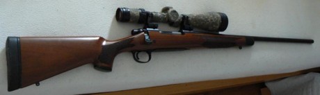 Buenas tardes.

Vendo rifle remington 700 bdl con visor Burris Fullfield E1 6,5x-20x-50mm.

Calibre 30-06

Muy 02