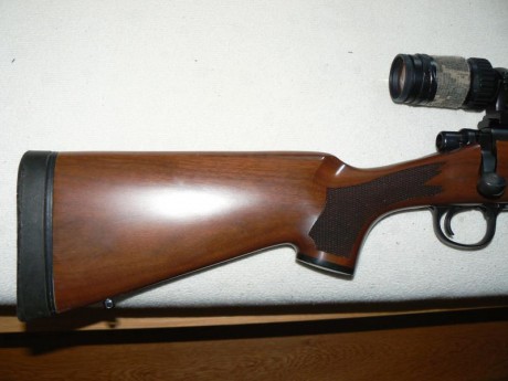 Buenas tardes.

Vendo rifle remington 700 bdl con visor Burris Fullfield E1 6,5x-20x-50mm.

Calibre 30-06

Muy 00
