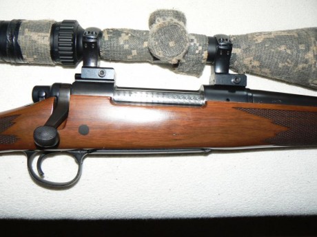Buenas tardes.

Vendo rifle remington 700 bdl con visor Burris Fullfield E1 6,5x-20x-50mm.

Calibre 30-06

Muy 12