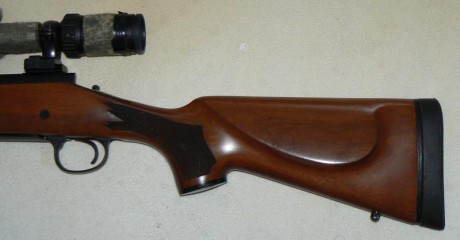 Buenas tardes.

Vendo rifle remington 700 bdl con visor Burris Fullfield E1 6,5x-20x-50mm.

Calibre 30-06

Muy 22