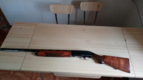 Muy buenas...
Vendo estas dos escopetas con las siguientes características:

-La primera:
     Marca: 00