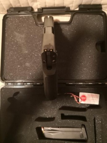 Vendo Sig Sauer P250 9mm, en perfecto estado y muy cuidada, con dos cargadores, maletin de transporte. 00