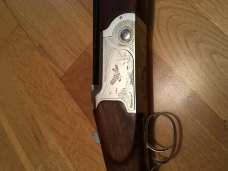 Hola compañeros.
Pongo a la venta una Krico superpuesta cal 12/76 Magnum con cañones ventilados de 71cm.
Se 01