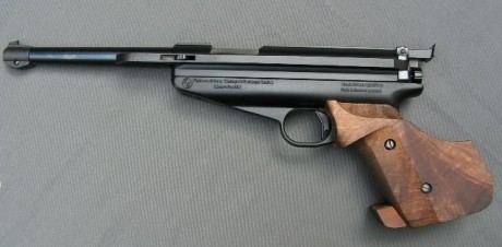 Después de leer mucho en el foro, estoy entre dos rifles:

Cometa F400 GP o Gamo Whisper Maxim igt.
El 100