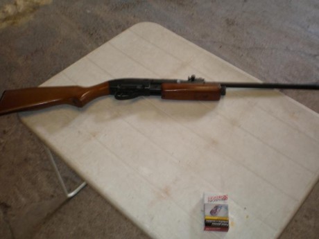 Pues eso vendo gamo g-1200, en este foro no vale la pene explicar las bondades de la carabina , todos 02