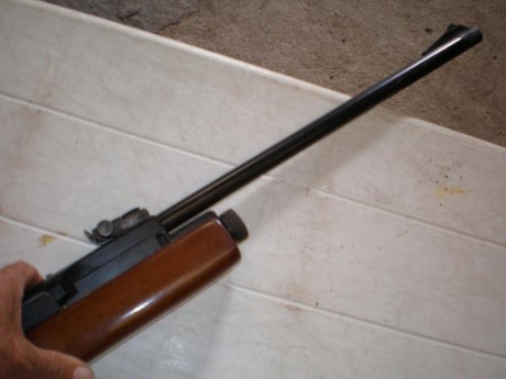 Pues eso vendo gamo g-1200, en este foro no vale la pene explicar las bondades de la carabina , todos 01