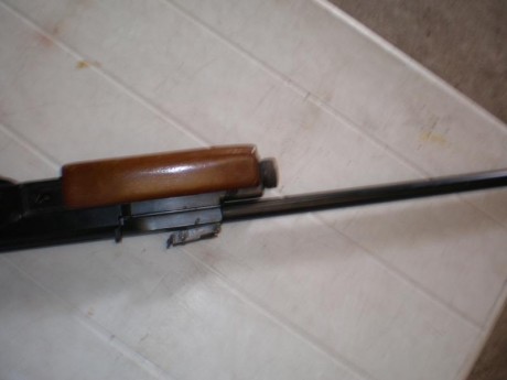 Pues eso vendo gamo g-1200, en este foro no vale la pene explicar las bondades de la carabina , todos 00