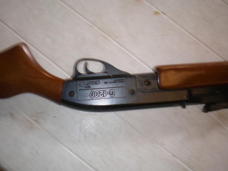 Pues eso vendo gamo g-1200, en este foro no vale la pene explicar las bondades de la carabina , todos 12