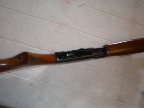 Pues eso vendo gamo g-1200, en este foro no vale la pene explicar las bondades de la carabina , todos 10