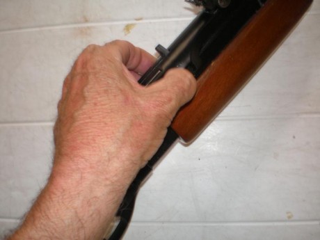 Pues eso vendo gamo g-1200, en este foro no vale la pene explicar las bondades de la carabina , todos 20