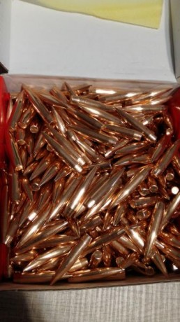 Vendo puntas que no las termina de tirar bien mi rifle.
Son del 6,5mm 130gr Norma Golden Target.
450unidades
170€ 02