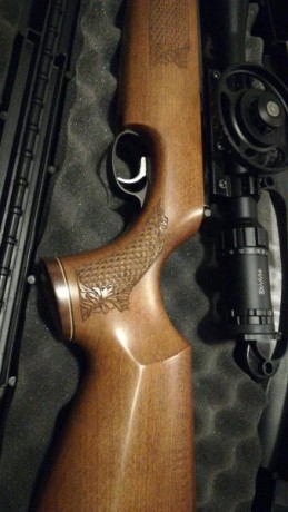 Carabina air arms tx200 mk3 beach con visor Hawke 8-32x56 nuevo con 3 meses tanto la carabina como el 01
