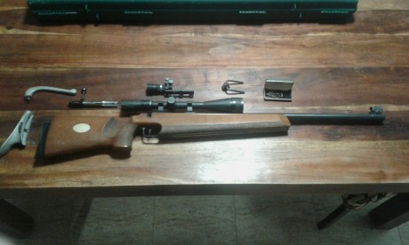 Hola, estoy intentando hacerme con una carabina tipo walther kk100, kk match, anschutz 54 o 64 match...algo 110
