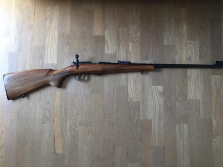 CARABINA BRNO 22 
Se vende rifle carabina de cerrojo marca brno, modelo 2E. calibre 22 LR, prácticamente 02