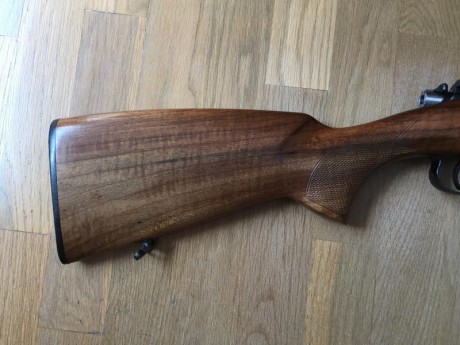 CARABINA BRNO 22 
Se vende rifle carabina de cerrojo marca brno, modelo 2E. calibre 22 LR, prácticamente 01