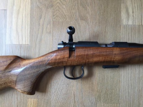 CARABINA BRNO 22 
Se vende rifle carabina de cerrojo marca brno, modelo 2E. calibre 22 LR, prácticamente 00