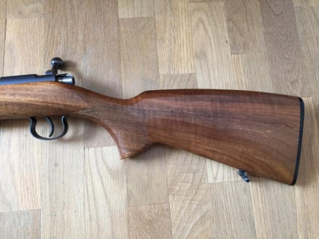 CARABINA BRNO 22 
Se vende rifle carabina de cerrojo marca brno, modelo 2E. calibre 22 LR, prácticamente 11