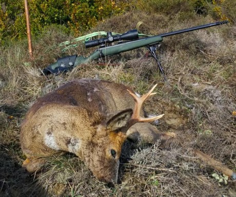  IMG_20181002_172451.jpg 



El rifle está recamarado en 7 RM y cuenta con los siguientes extras:

* Freno 41