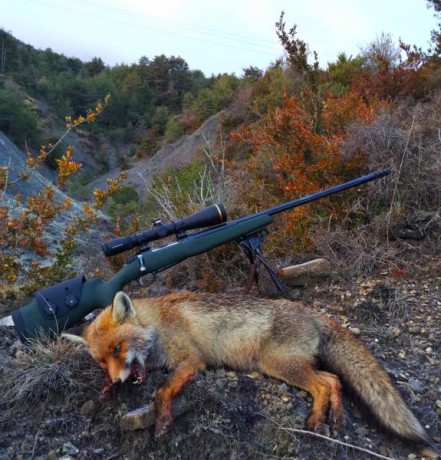  IMG_20181002_172451.jpg 



El rifle está recamarado en 7 RM y cuenta con los siguientes extras:

* Freno 60