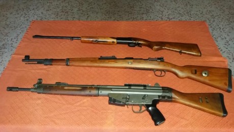 Hola. Cambio estos tres rifles solo en mano en Madrid separados o en lote.
Todos guiados en D y en perfecto 01
