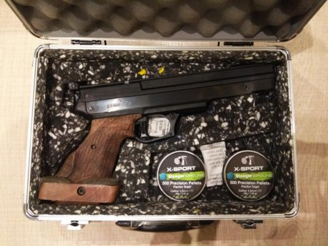 Buenas tardes, pongo a la venta mi Gamo Compact customizada. Se encuentra en Valladolid y prefiero trato 22