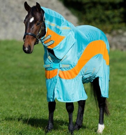 Manta para caballos marca HORSEWARE modelo AMIGO  EVOLUTION nueva.
Precio 30€ con envío incluido 
Dispongo 00