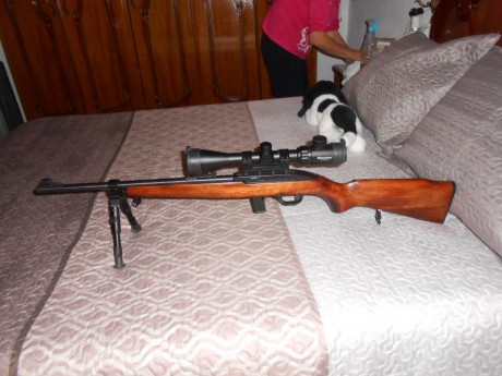 Hola cambio carabina 22 lr nueva por escopeta superpuesta  Franchis Alcione que este en buen estado, la 02