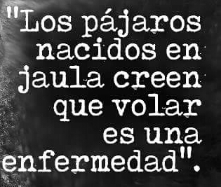 Igual es una chorrada o igual no y es para planteárselo, por eso quiero ver opiniones. 

Hace un rato 140