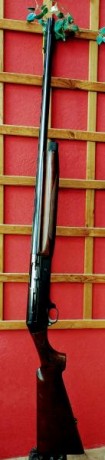 Se venden dos escopetas en estado impecable.
Franchi SPS-350, calibre 12, con prolongador, capacidad siete 10