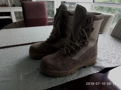 Vendo Botas talla 43, reglamentarias del Ejército del Aire. Completamente nuevas, nunca usadas. Ideales 00
