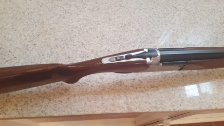 Hola: 
Se vende lamber superpuesta en muy buen estado de conservación y funcionamiento de dos gatillos.
Esta 02